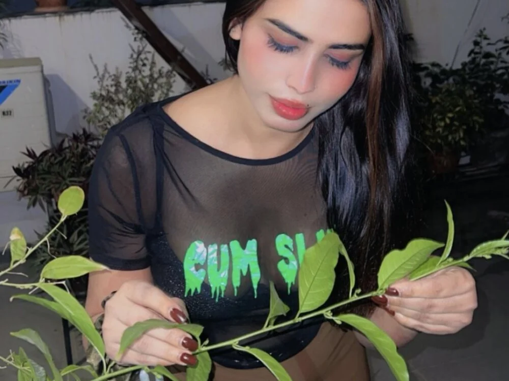 Chat XXX offline de Anvi2025