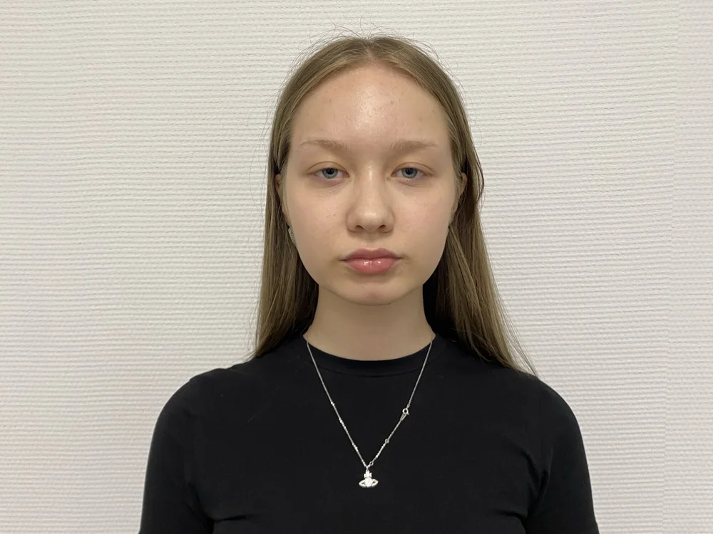VanHalsema офлайн чат стая