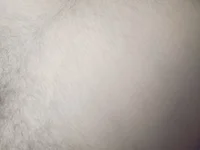 Subhajit12Jana23's webcam live show