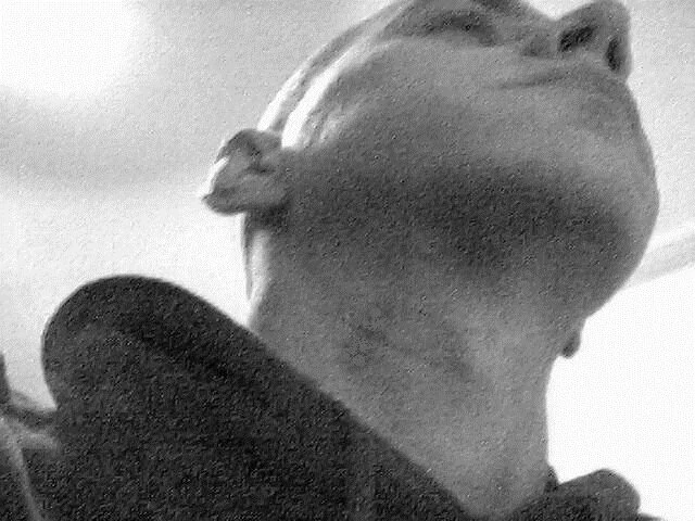 oxolot Offline XXX-chat