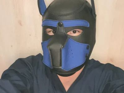 JPdog0123 - Boy 