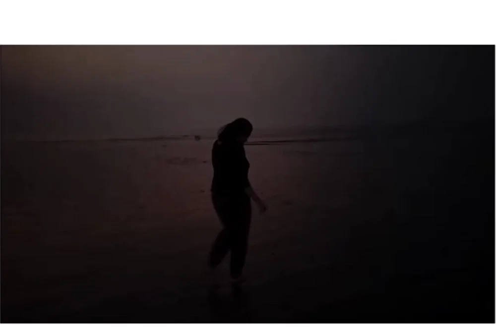 Офлайн-чат XXX pro_panda