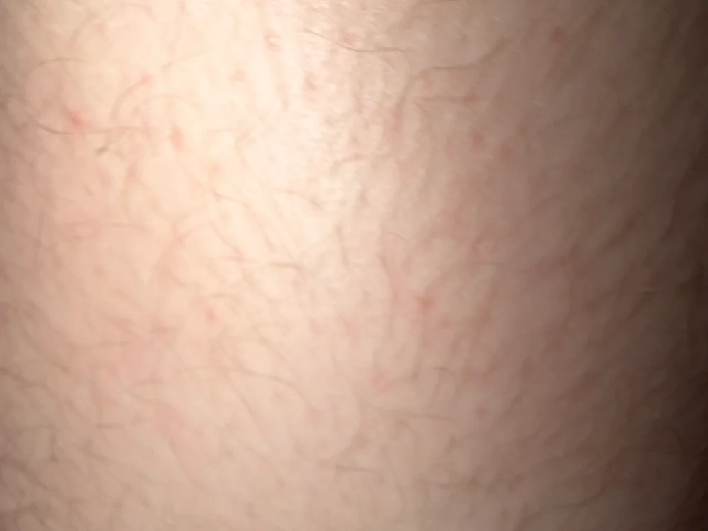 Conor121111 offline XXX-chat