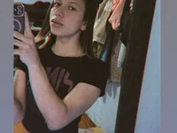 Model Geminis_m