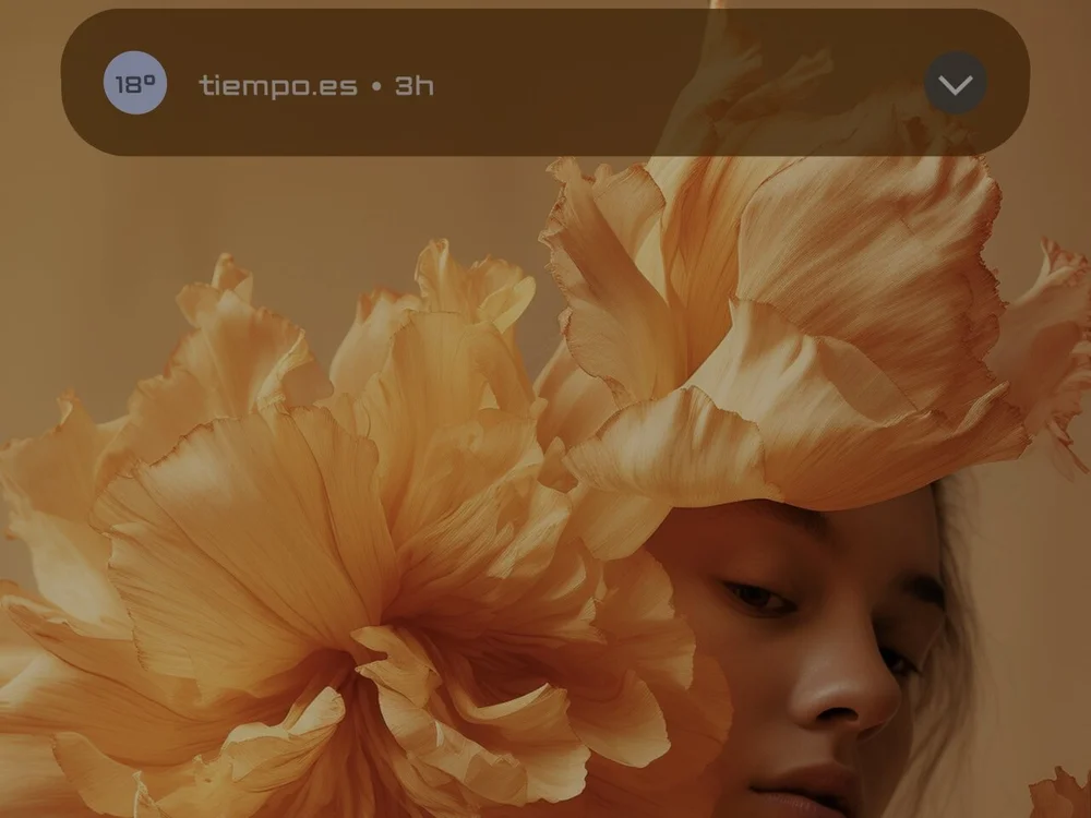 cover photo of Mevees