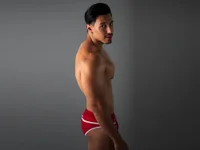 Модель Lorenzoferrec