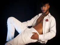 Модель FoxBigmaster