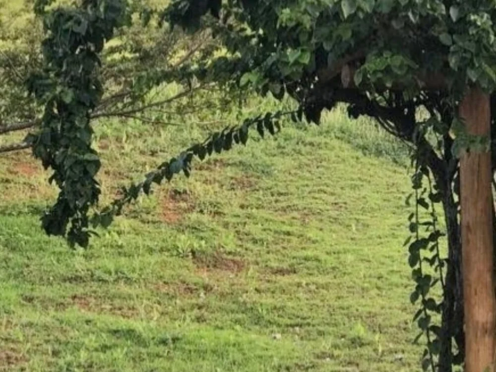 LeapingSavior's Offline XXX Chat