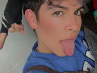 Модель Blum_icee