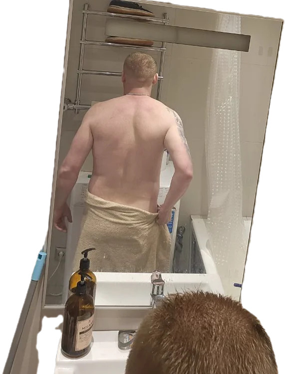 Petreliseev Offline XXX-chat