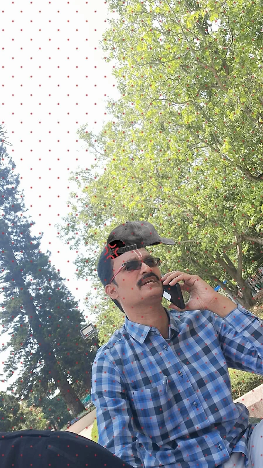 Andhra-pinkman2