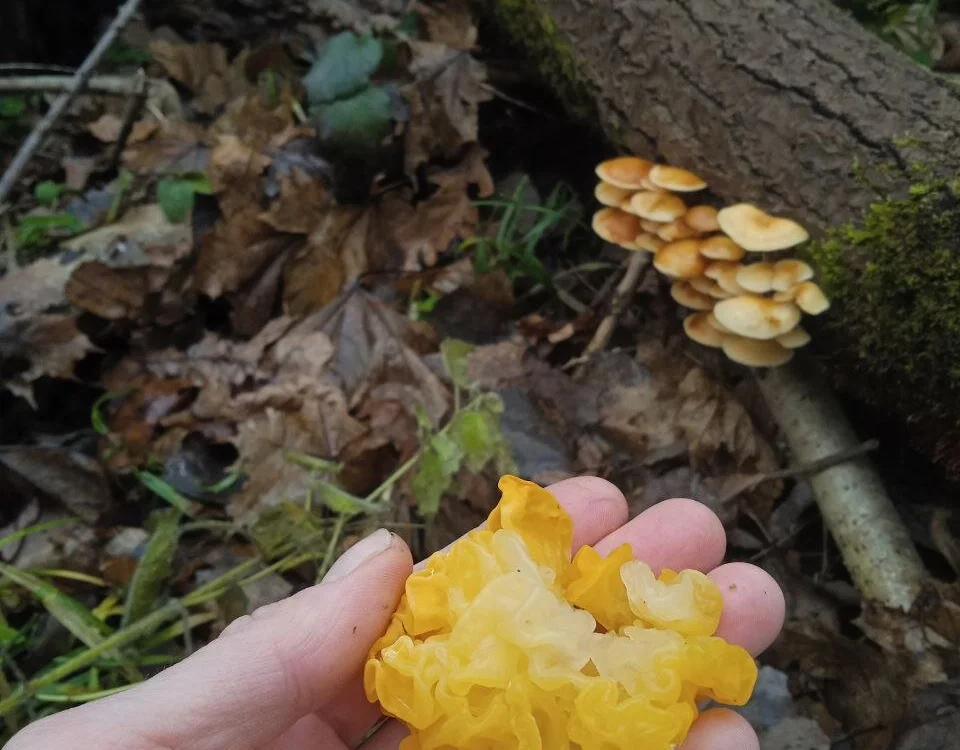 Personal_Bulldozer Adlı Modelin Çevrimdışı XXX Sohbeti