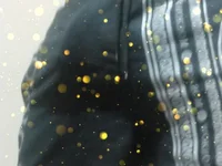 Модель BurdenedStunt1