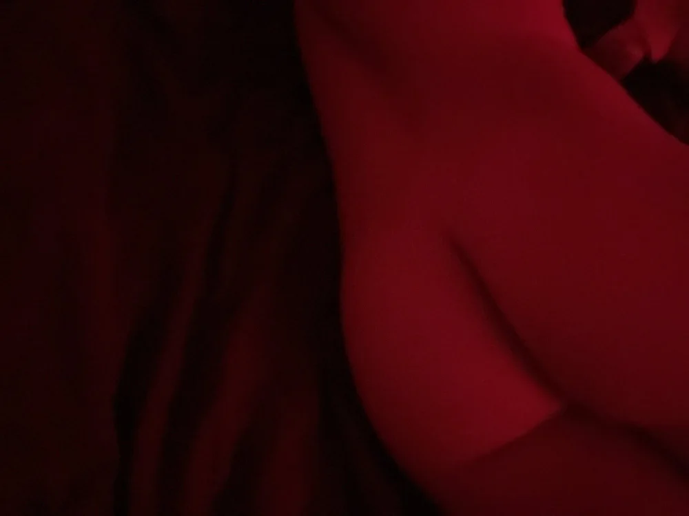 19yoldvers-dtf's Offline XXX Chat