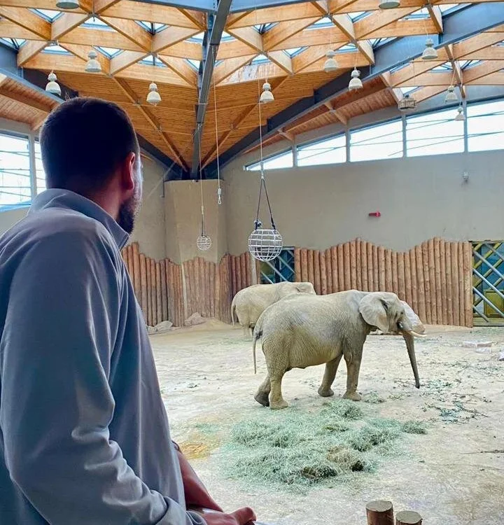 zipppp777774 – Offline XXX chat