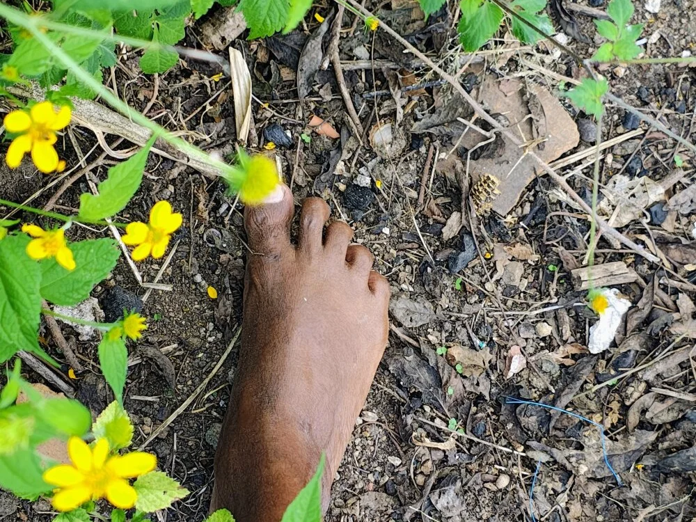 Duduarte2020@xh 离线XXX聊天