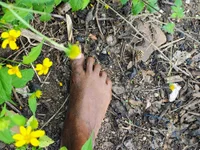 Chat XXX ao vivo de Duduarte2020@xh