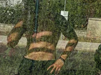 JaquelineandJulian's webcam live show