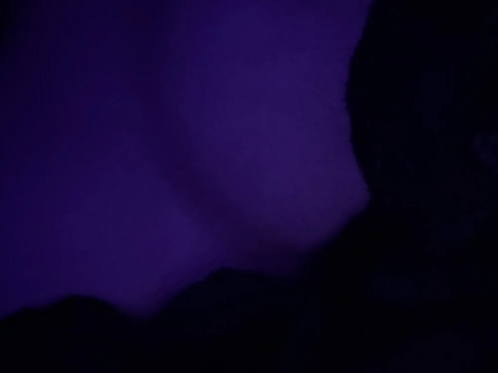 Офлайн-чат XXX ss_lut