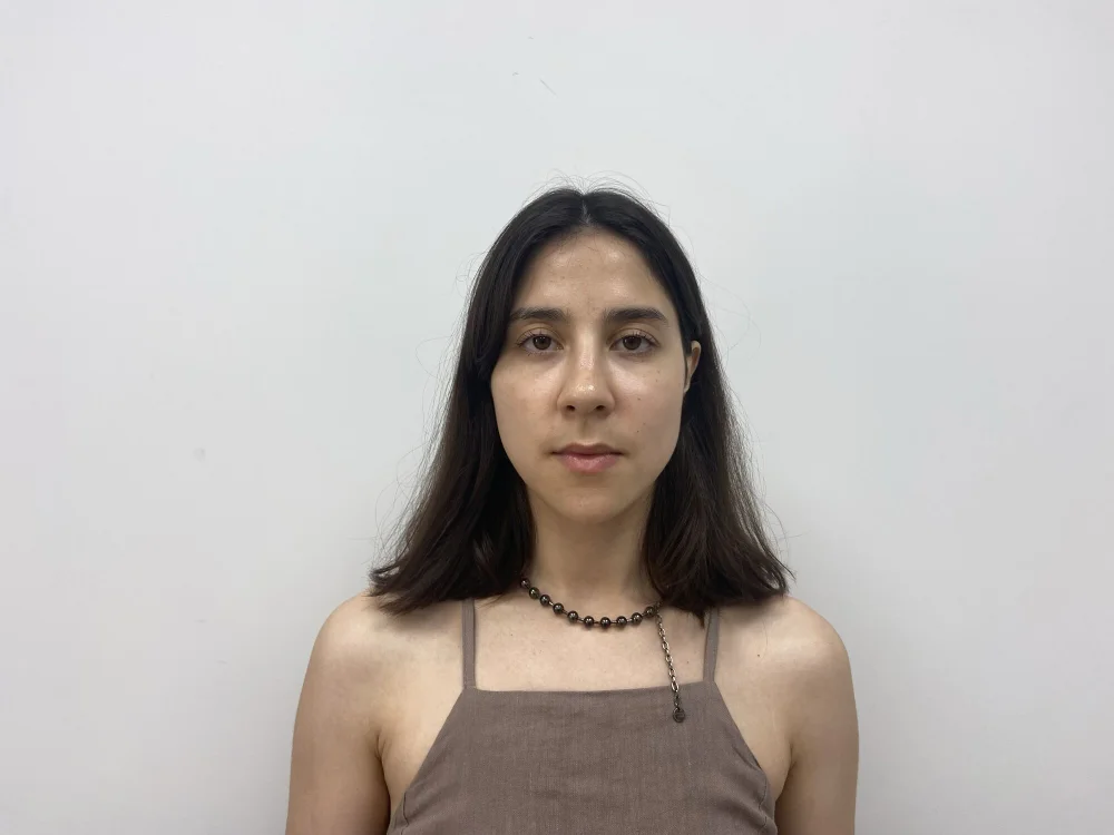 BereniceGapp offline chatrum