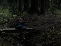 geserm's webcam live show