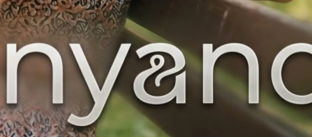 SanyandT