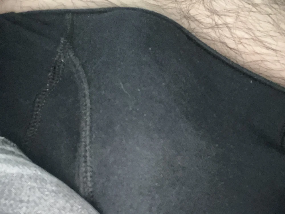 Beargr1 Offline XXX Chat