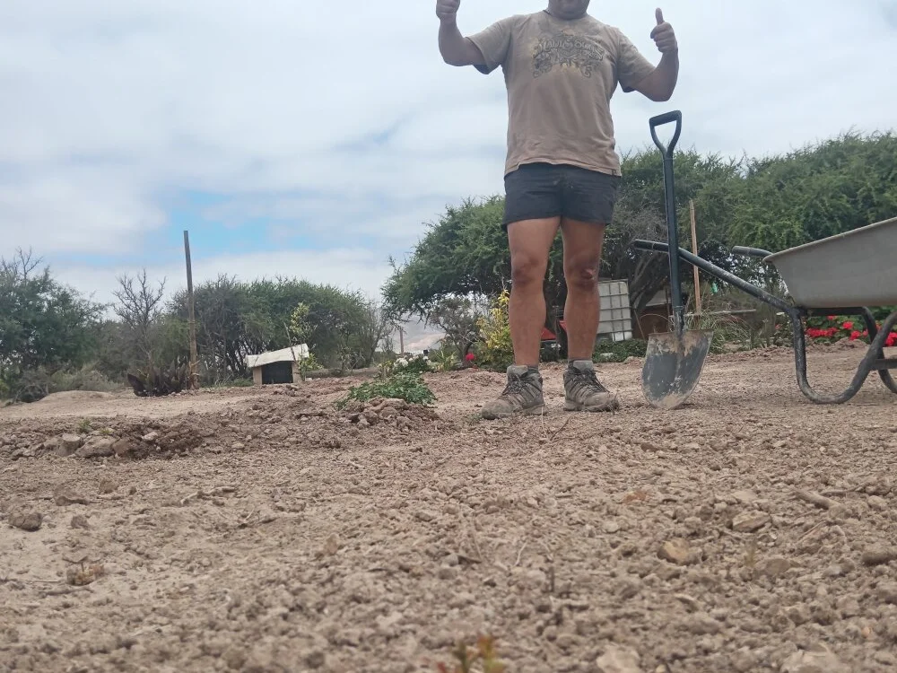 Alexi7196's Offline XXX Chat