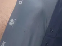 nestlok309's webcam live show