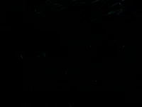 SharaNewbern's Offline Chat Room