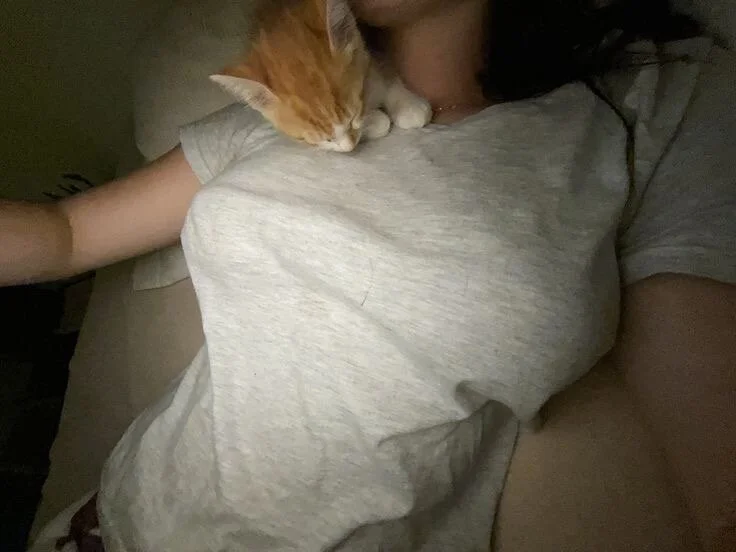 smallervanillaa Chat XXX offline