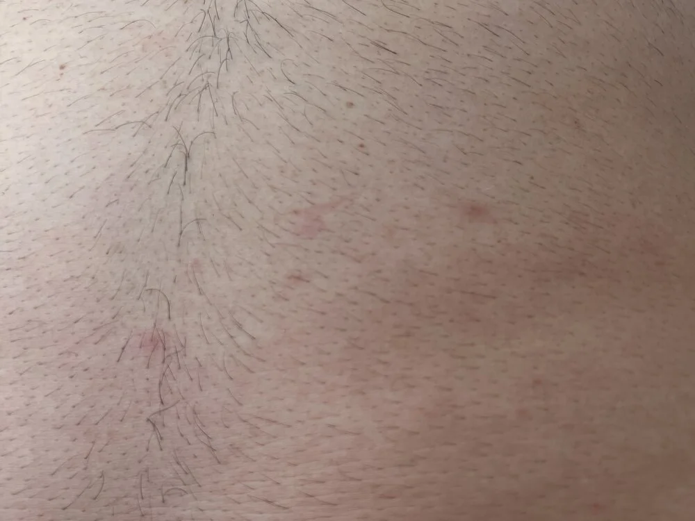 Streetfight6431 Chat XXX offline