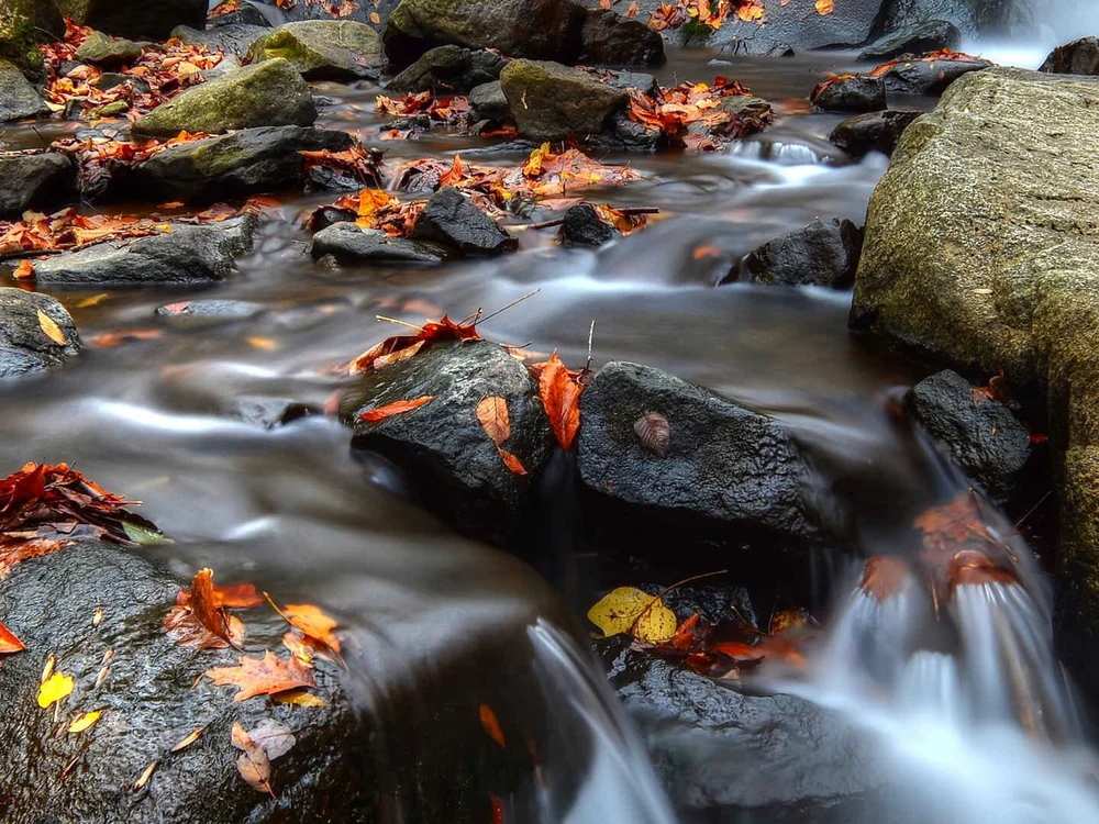 cover photo of wildcrazy27