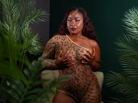 Модель sofi_hill