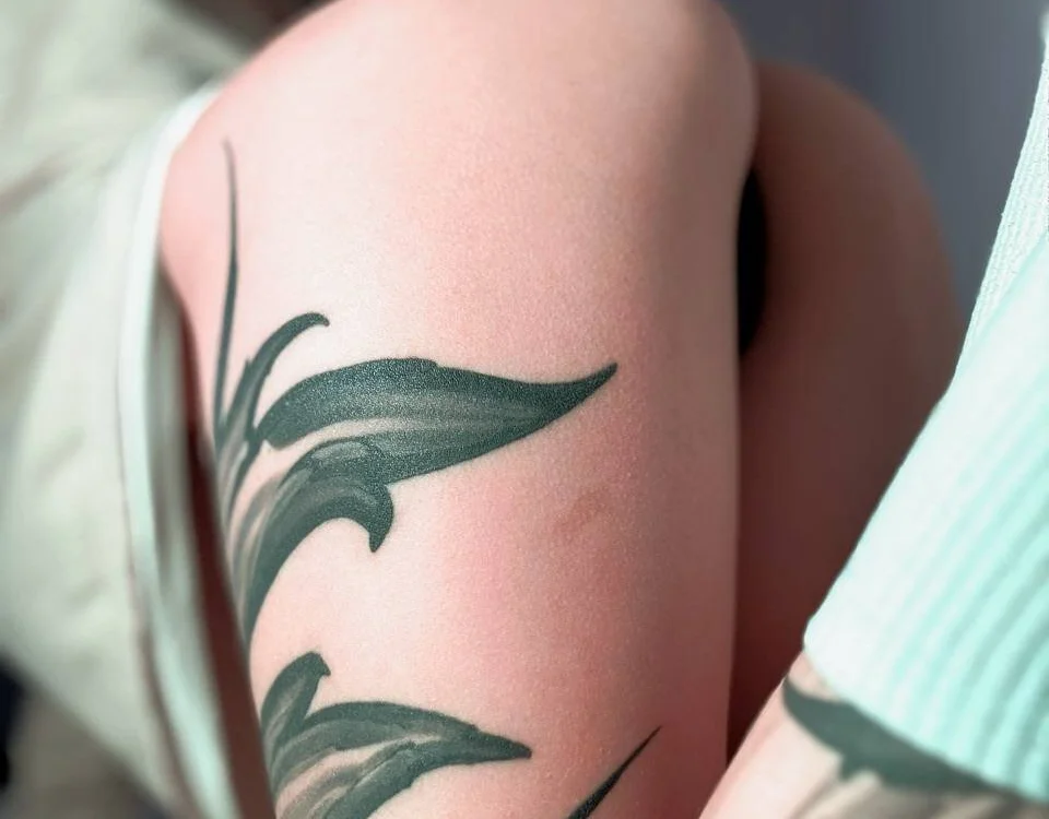 icesteam Offline XXX-Chat