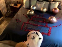 Модель demonslayerr999