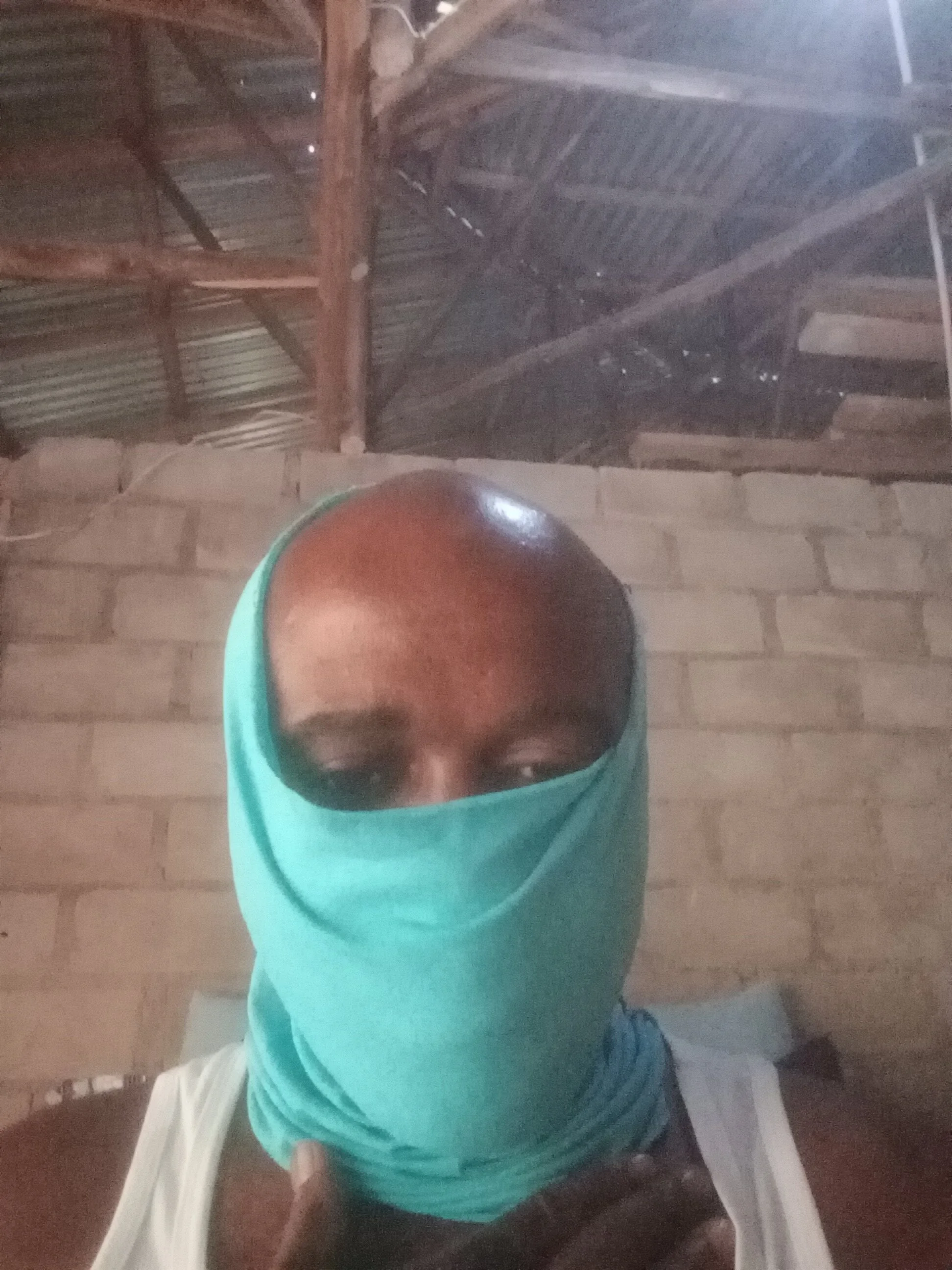 bololami
