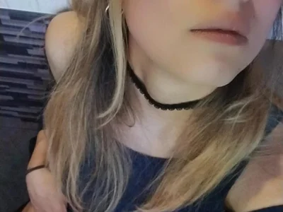 Lametaleralatina profile