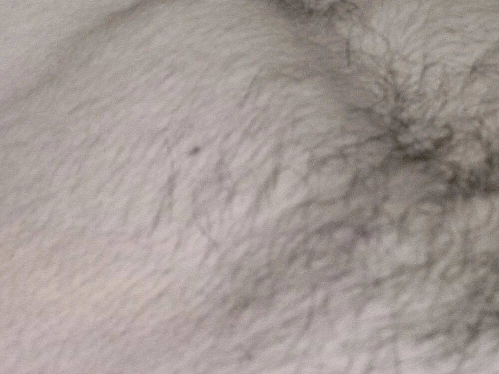 DavidDomin Offline XXX-chat