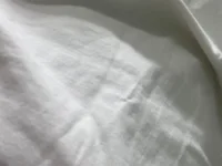 T4s's webcam live show