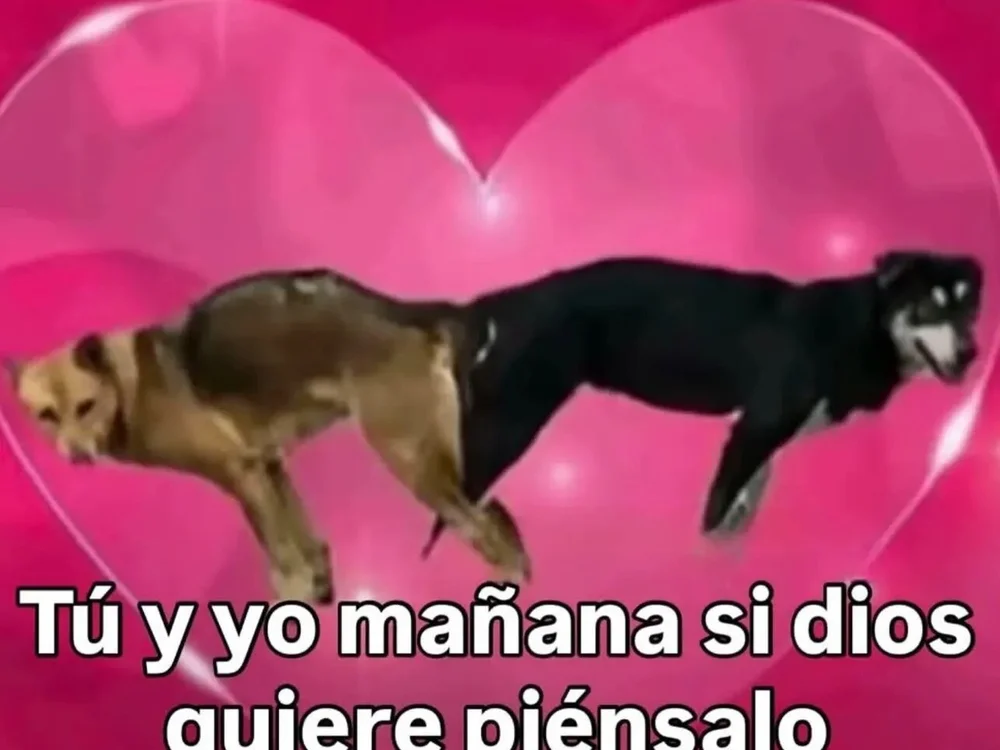 Excit4d0's most recent online preview