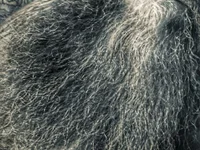 Модель Ice_mannHH