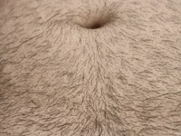 IZDIRAPVEREN's webcam live show