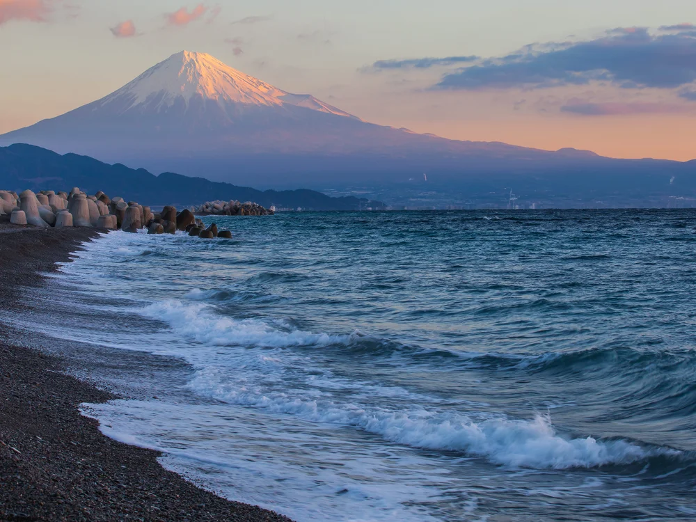 disfrutamipolla21 cam model