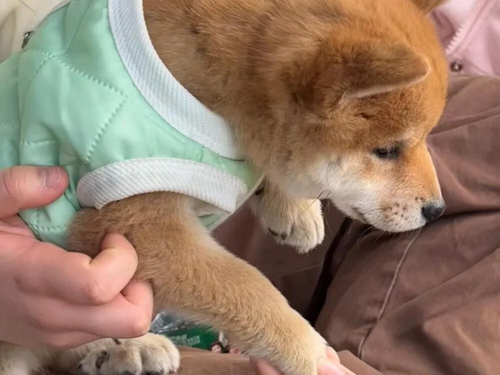 __Coffee___'s Offline XXX Chat