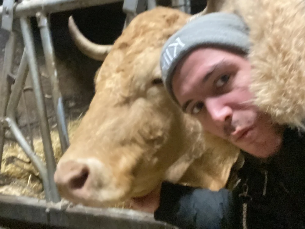 Chat XXX offline de PluschLeopard