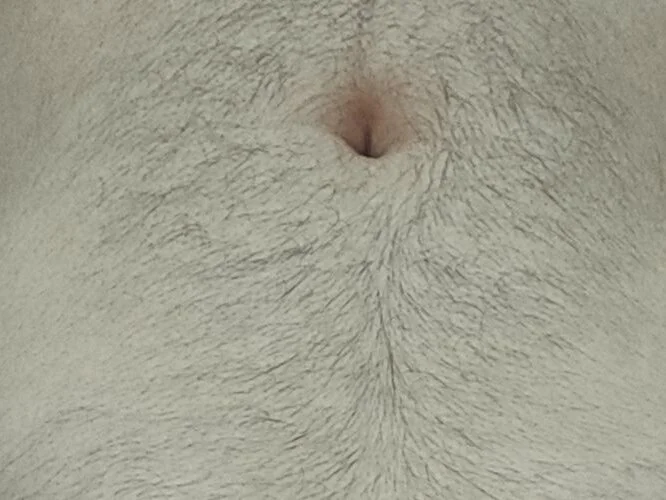 Chat +18 off-line de 007messii