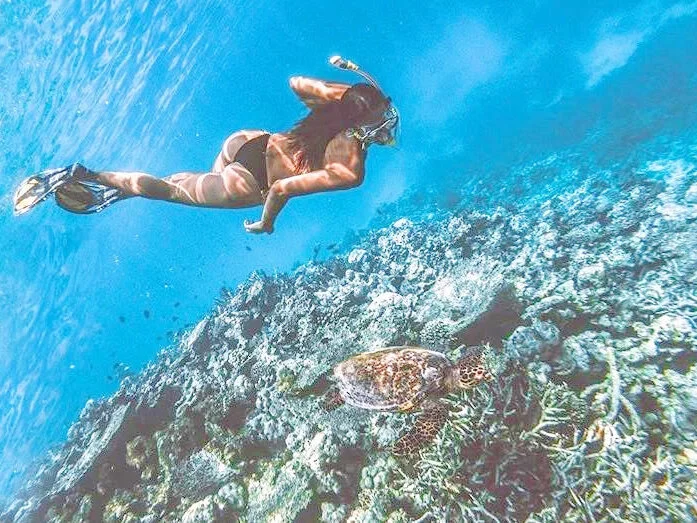 EmilyInMiami 오프라인 XXX 채팅