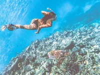 EmilyInMiami 🚙 live chat