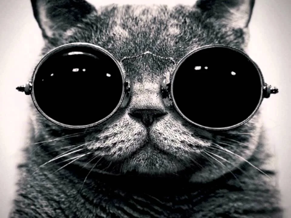 Ynotnaa63 live webcam